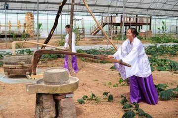 踏莎行·钗凤摇金