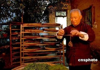 九华隐士居陈生寄松管笔