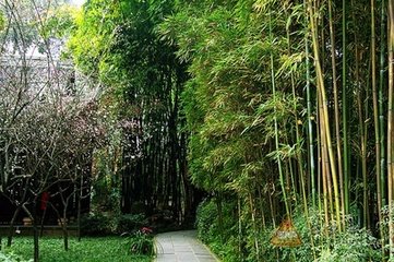 以嗜酒爱风竹卜居此林泉为韵作十小诗