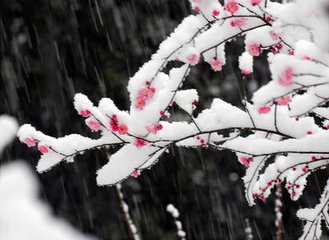 霜天晓角·蒲帆十幅