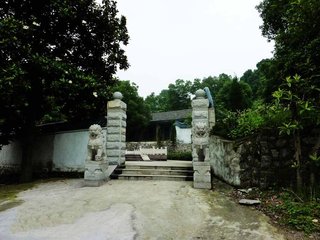 凤皇枝令/凤凰枝令