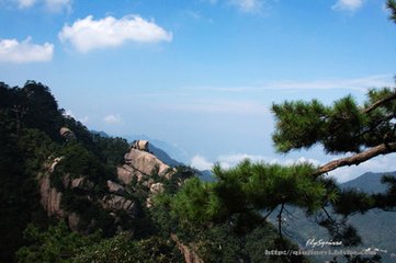 太常引 寿彝齐