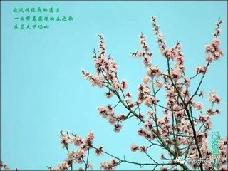 望蓬莱 四首本名望江南 王乔二生架屋于渭