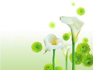 忆王孙·汉家宫阙动高秋