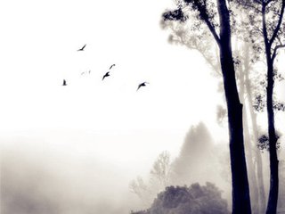 绮怀十六首·其十五