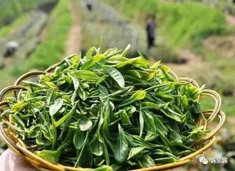 有酒失于虔州陆郎中肱，以诗谢之