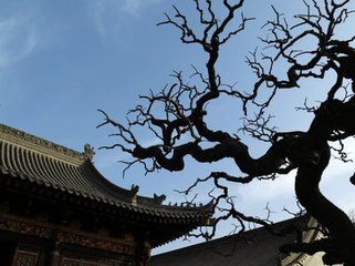暇日六咏其六{槐庭}