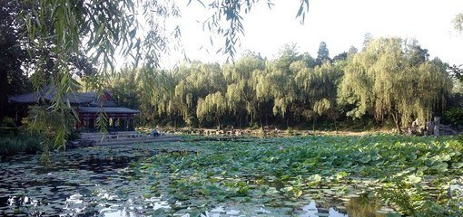 【正宫】小梁州_朱颜绿鬓少