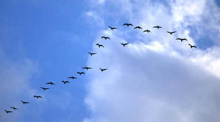 晓登燕公楼