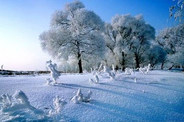 咏雪诗