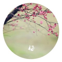 女冠子·露花烟草