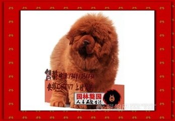 望月婆罗门引 昨者观唐津舟车之盛，通凑南