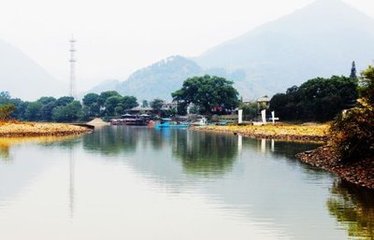 蕃归自浙之十日斯还赴处州之约入城自此遂将