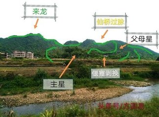 观弄狮子