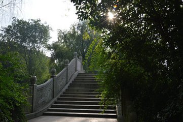 蓦山溪 赋崇福荷花，崇福在太原晋溪