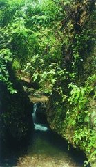 閒居遣兴