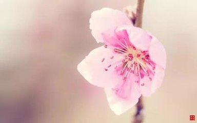 次韵蒋夔寒夜见过