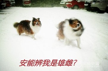 横吹曲辞。刘生