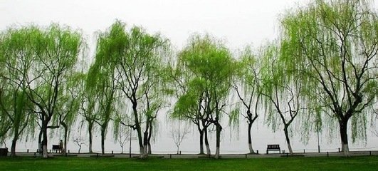 诉衷情·闲中一叶小渔舟
