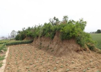 夏日陪提刑彭学士登周襄王故城