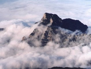 踏莎行 尧山堂外纪记其本事云，杜妙隆、金