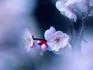 南乡子·泪眼转天昏