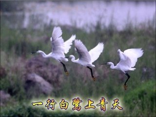 简施文叔绝句四首