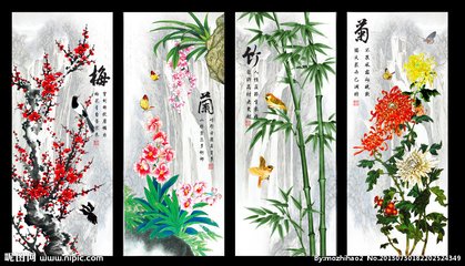槿菊