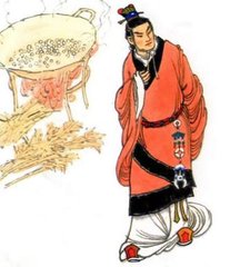 数日不至后圃今晚偶来芳物都尽率然成诗
