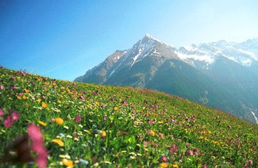 小重山·春日归来如许长