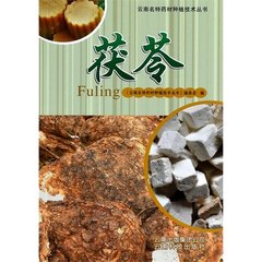 尹子渐归华产茯苓若人形者赋以赠行
