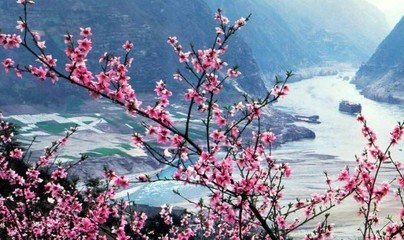 题昭君图