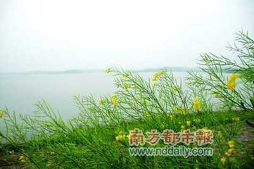 南都遇前嘉鱼刘令，言游闽岭，作此与之