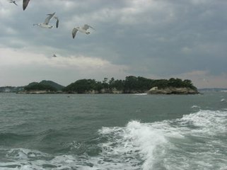 瑞鹤仙·霁天风露好