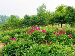 陪欧阳少师永叔燕颍州西湖