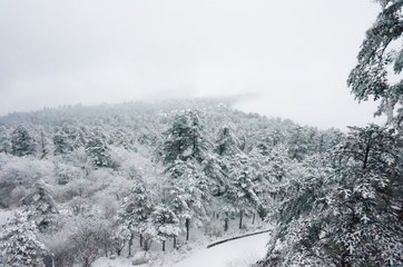 舟中遇雪