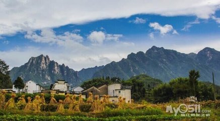 至花士自宣城归蒋陵求颂书比以赠