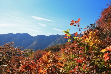 北园避热