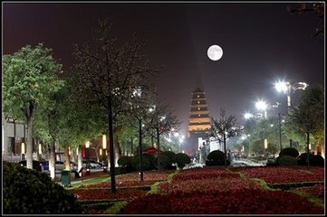 清平乐·深沈玉宇