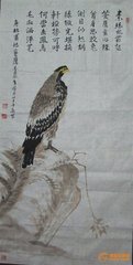 画鹰