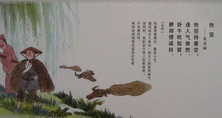 牧竖