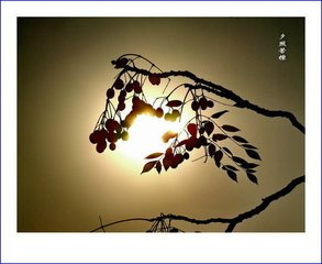 萧文学山池宴集