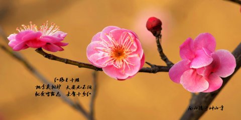 定风波（一·瓮城）