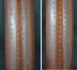 韩持国遗洛笋