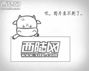 和张侍中述怀诗