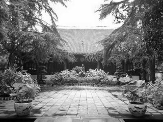 走笔戏书应令诗