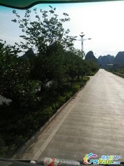 和子山种花