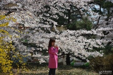 太平山读书奉寄城间诸友