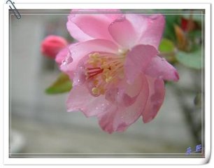 捣练子·放下著