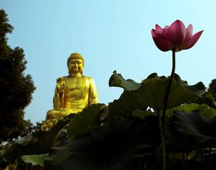 卷一百二十三·报应二